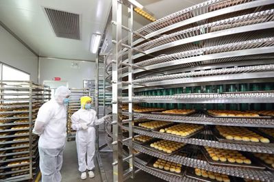 減稅降費助力企業發展，共筑創業就業新藍圖